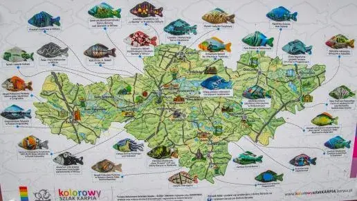 Stawy Milickie: Przewodnik po atrakcjach, które Cię zachwycą!