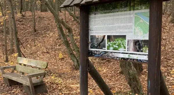 Lasek Bielański: Atrakcje, historia, natura zaplanuj idealną wycieczkę